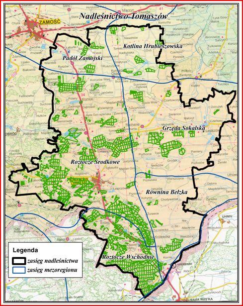 położenie nadleśnictwa względem mezoregionów geograficznych