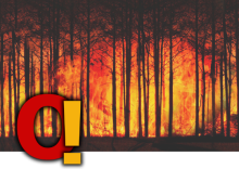 O zagrożeniu pożarowym w lasach w aplikacji mobilnej