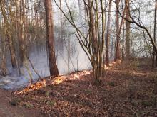 Zmagania z pożarami w lasach lubelskiej dyrekcji