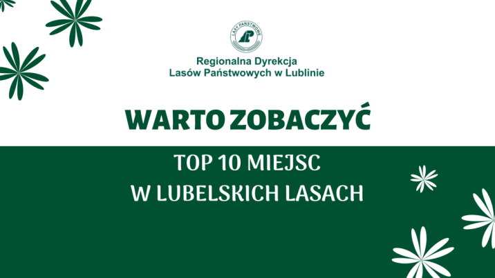 Grafika&#x3a;&#x20;Ewa&#x20;Pożarowszczyk&#x2c;&#x20;RDLP&#x20;w&#x20;Lublinie