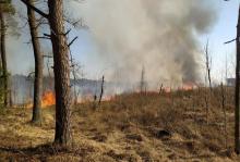 Pełna gotowość do ochrony lasów przed ogniem