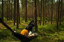 Zanocuj w lasach lubelskiej dyrekcji