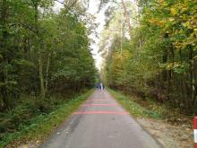 Niedzielne treningi biegowe w Lasach Kozłowieckich