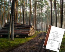 RDLP w Lublinie z rekomendacją przedłużenia certyfikatu PEFC