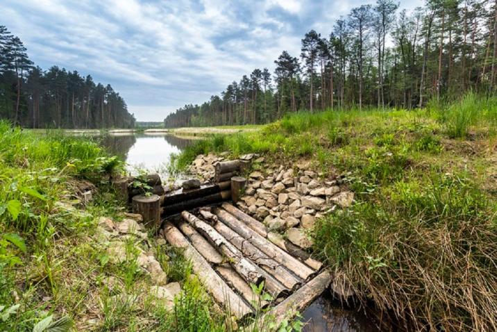 Mała retencja na terenie Nadleśnictwa Zwierzyniec