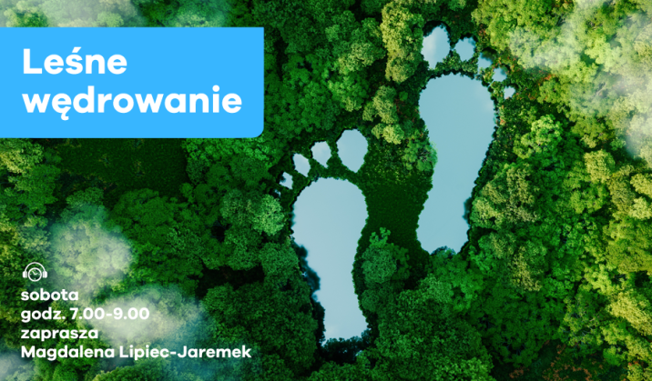 Leśne Wędrowanie z Polskim Radiem Lublin